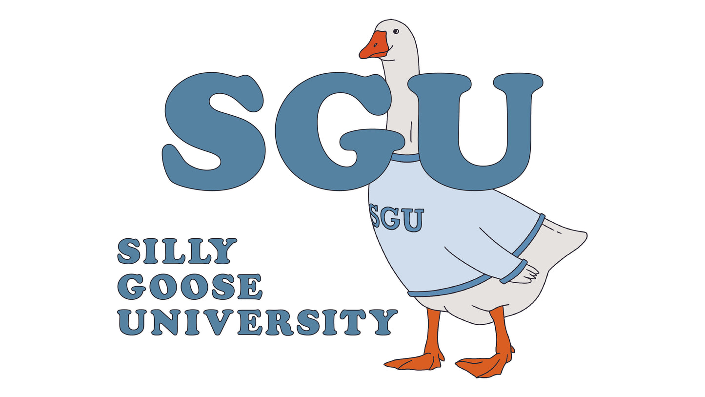 SILLY GOOSE UNIVERSITY TEE